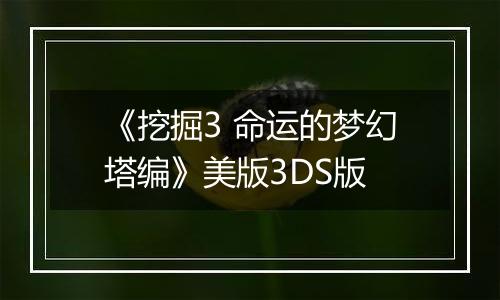 《挖掘3 命运的梦幻塔编》美版3DS版