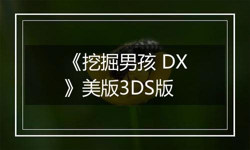 《挖掘男孩 DX》美版3DS版