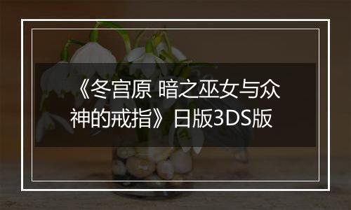 《冬宫原 暗之巫女与众神的戒指》日版3DS版