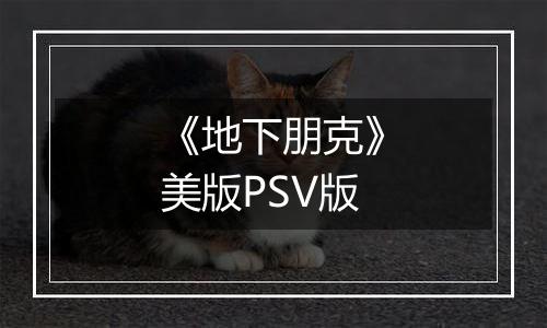 《地下朋克》美版PSV版