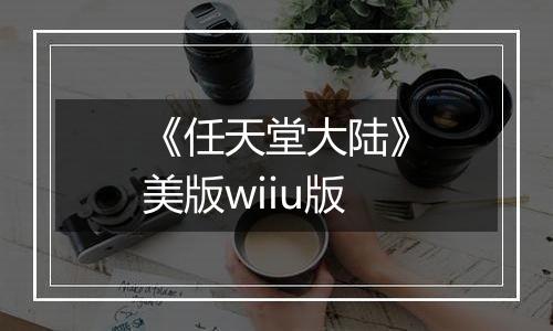 《任天堂大陆》美版wiiu版
