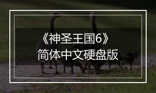 《神圣王国6》简体中文硬盘版