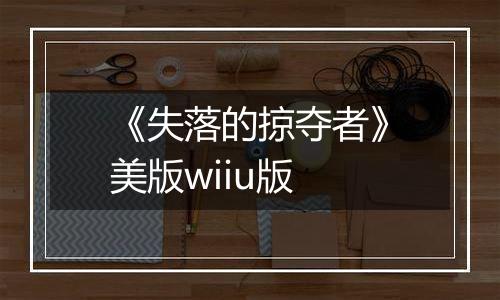 《失落的掠夺者》美版wiiu版