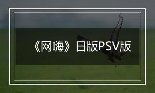 《网嗨》日版PSV版