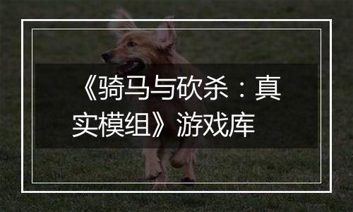 《骑马与砍杀：真实模组》游戏库