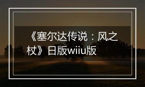 《塞尔达传说：风之杖》日版wiiu版