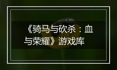 《骑马与砍杀：血与荣耀》游戏库