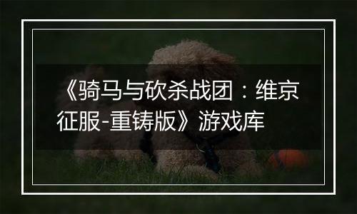《骑马与砍杀战团：维京征服-重铸版》游戏库