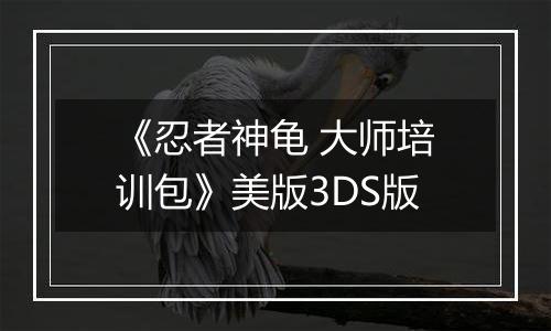 《忍者神龟 大师培训包》美版3DS版