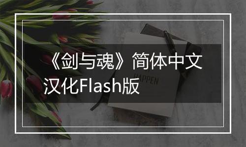 《剑与魂》简体中文汉化Flash版