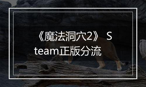 《魔法洞穴2》 Steam正版分流