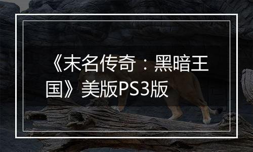 《末名传奇：黑暗王国》美版PS3版