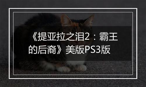 《提亚拉之泪2：霸王的后裔》美版PS3版