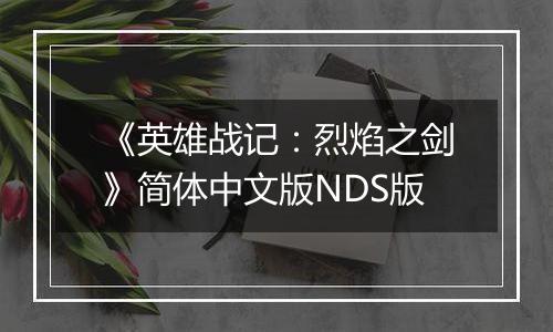 《英雄战记：烈焰之剑》简体中文版NDS版