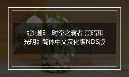 《沙迦3：时空之霸者 黑暗和光明》简体中文汉化版NDS版