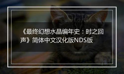 《最终幻想水晶编年史：时之回声》简体中文汉化版NDS版