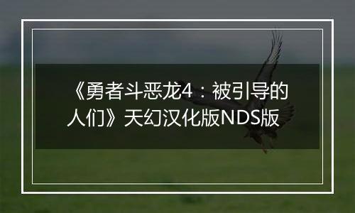 《勇者斗恶龙4：被引导的人们》天幻汉化版NDS版