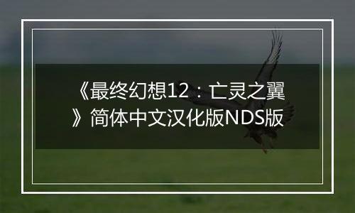 《最终幻想12：亡灵之翼》简体中文汉化版NDS版
