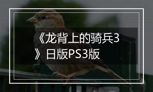 《龙背上的骑兵3》日版PS3版