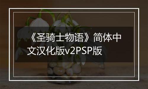 《圣骑士物语》简体中文汉化版v2PSP版