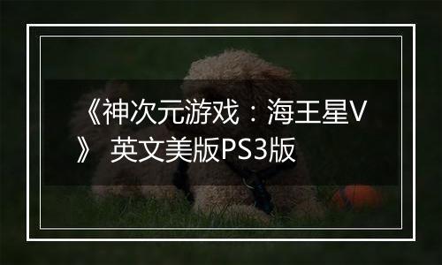 《神次元游戏：海王星V》 英文美版PS3版