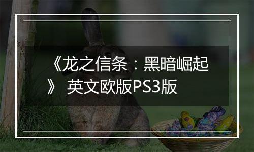 《龙之信条：黑暗崛起》 英文欧版PS3版