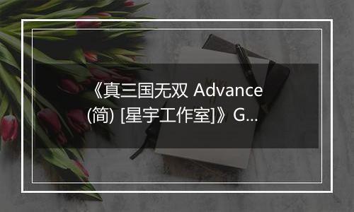 《真三国无双 Advance (简) [星宇工作室]》GBA ROM 中文版