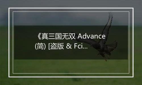 《真三国无双 Advance (简) [盗版 & Fciq]》GBA ROM 中文版