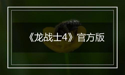 《龙战士4》官方版