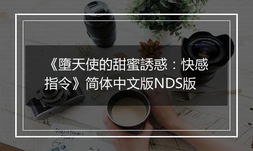 《墮天使的甜蜜誘惑：快感指令》简体中文版NDS版