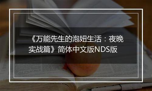 《万能先生的泡妞生活：夜晚实战篇》简体中文版NDS版