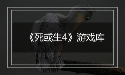 《死或生4》游戏库