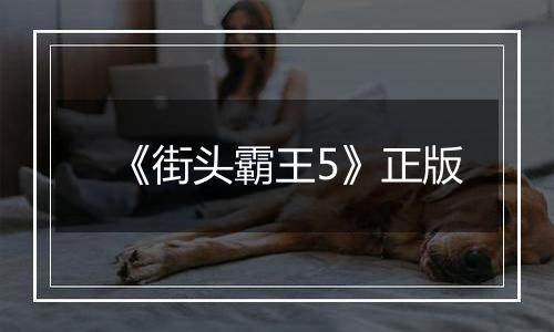 《街头霸王5》正版