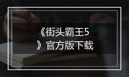《街头霸王5》官方版下载