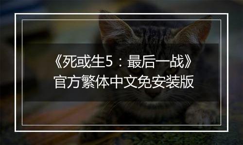 《死或生5：最后一战》 官方繁体中文免安装版
