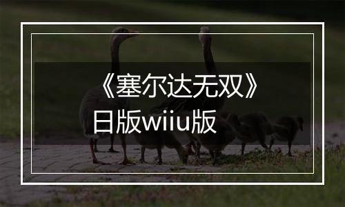 《塞尔达无双》日版wiiu版