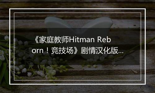 《家庭教师Hitman Reborn！竞技场》剧情汉化版PSP版