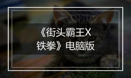 《街头霸王X铁拳》电脑版