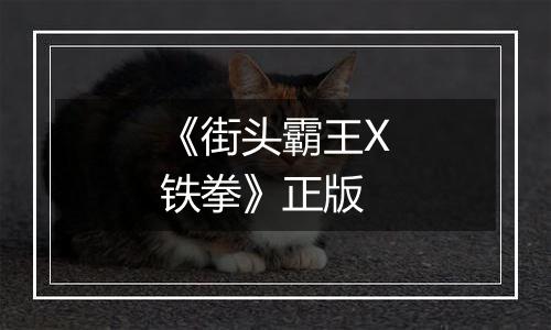 《街头霸王X铁拳》正版