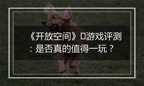 《开放空间》​游戏评测：是否真的值得一玩？