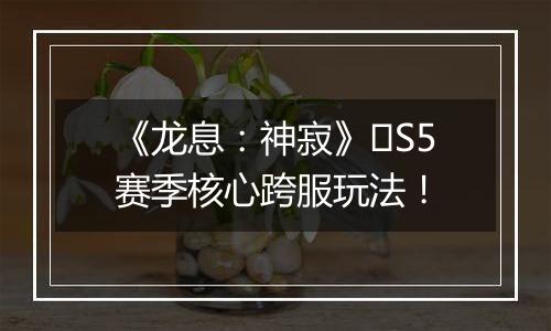 《龙息：神寂》​S5赛季核心跨服玩法！