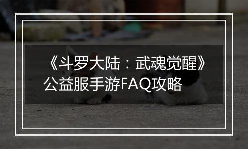 《斗罗大陆：武魂觉醒》公益服手游FAQ攻略