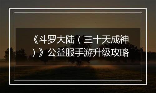 《斗罗大陆（三十天成神）》公益服手游升级攻略