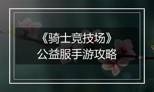 《骑士竞技场》公益服手游攻略