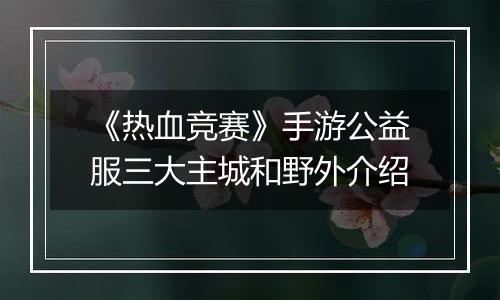 《热血竞赛》手游公益服三大主城和野外介绍