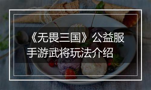 《无畏三国》公益服手游武将玩法介绍