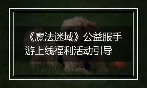《魔法迷域》公益服手游上线福利活动引导