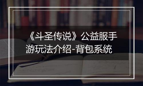 《斗圣传说》公益服手游玩法介绍-背包系统