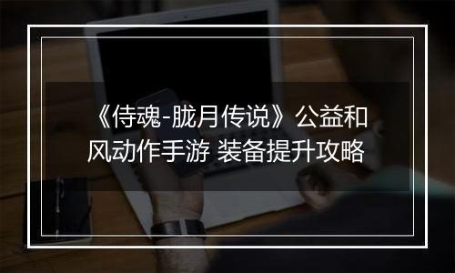 《侍魂-胧月传说》公益和风动作手游 装备提升攻略