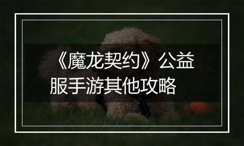 《魔龙契约》公益服手游其他攻略